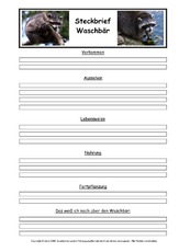 Waschbär-Steckbriefvorlage.pdf